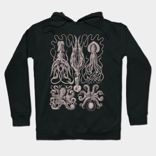 Ernst Haeckel Gamochonia Octopus Lavender Grey Hoodie